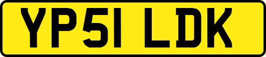 YP51LDK