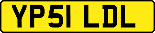 YP51LDL