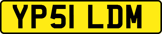 YP51LDM