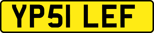 YP51LEF