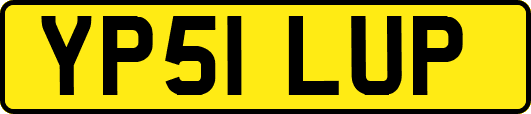 YP51LUP