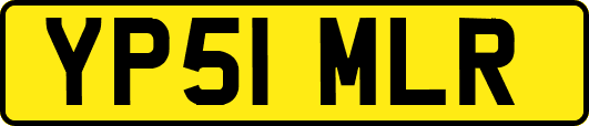 YP51MLR