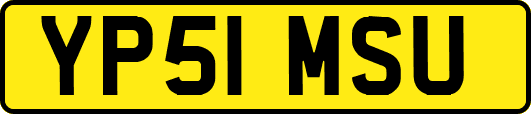 YP51MSU
