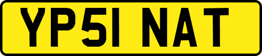 YP51NAT