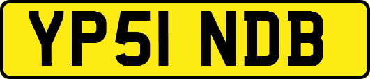 YP51NDB