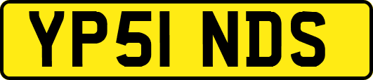 YP51NDS