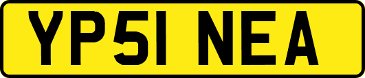 YP51NEA