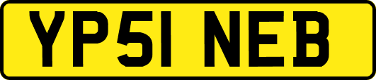 YP51NEB