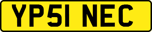 YP51NEC