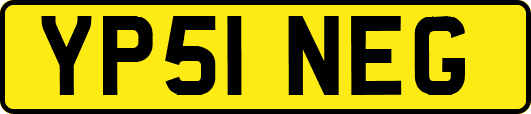 YP51NEG