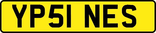 YP51NES
