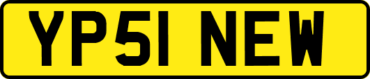 YP51NEW