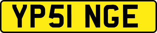 YP51NGE