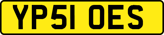 YP51OES