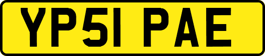 YP51PAE