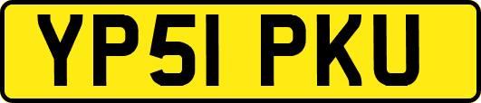 YP51PKU