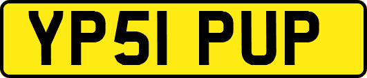 YP51PUP