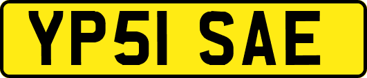 YP51SAE