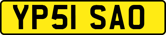 YP51SAO
