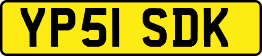 YP51SDK