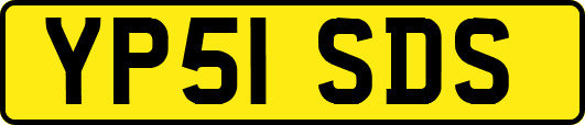YP51SDS