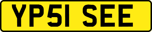 YP51SEE