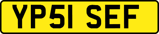 YP51SEF