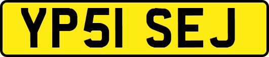 YP51SEJ