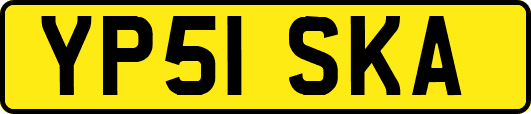 YP51SKA