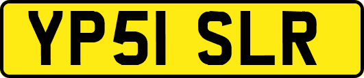 YP51SLR