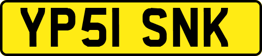 YP51SNK