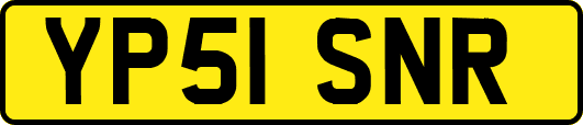 YP51SNR