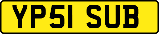 YP51SUB
