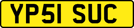 YP51SUC