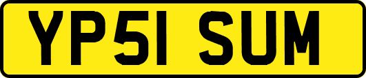 YP51SUM