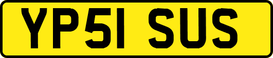 YP51SUS