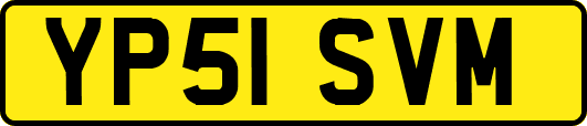 YP51SVM
