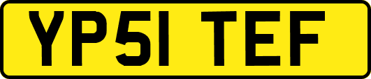 YP51TEF