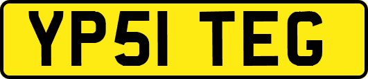 YP51TEG