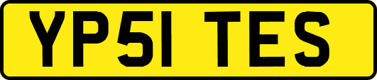 YP51TES