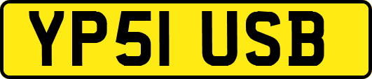 YP51USB