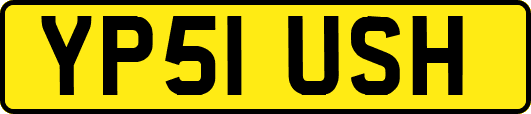 YP51USH