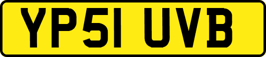 YP51UVB
