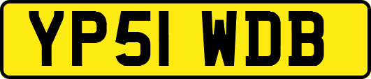 YP51WDB