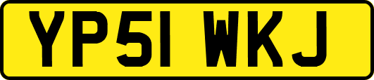 YP51WKJ