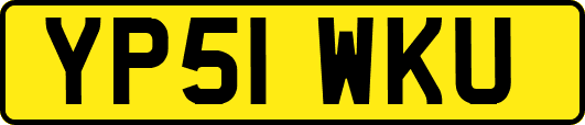 YP51WKU