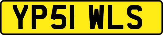 YP51WLS