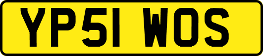 YP51WOS