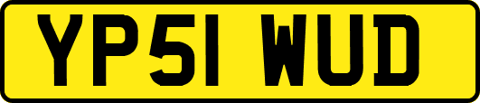 YP51WUD