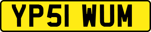 YP51WUM